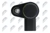 Sensor, Nockenwellenposition NTY ECP-PL-035 Bild Sensor, Nockenwellenposition NTY ECP-PL-035