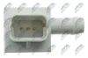 Sensor, Abgasdruck NTY ECS-NS-000 Bild Sensor, Abgasdruck NTY ECS-NS-000