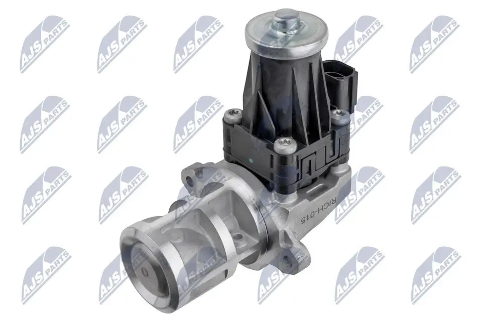 AGR-Ventil 12 V NTY EGR-CH-015