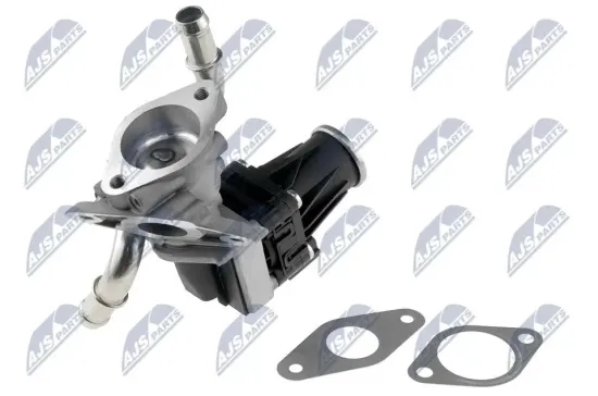 AGR-Ventil NTY EGR-FR-007 Bild AGR-Ventil NTY EGR-FR-007