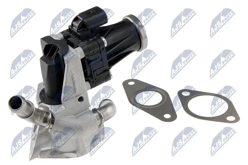 AGR-Ventil NTY EGR-FR-029