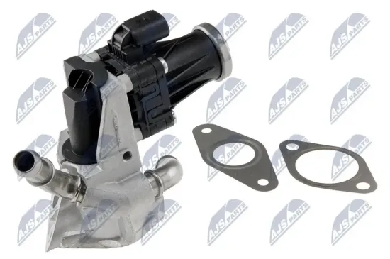 AGR-Ventil NTY EGR-FR-029 Bild AGR-Ventil NTY EGR-FR-029
