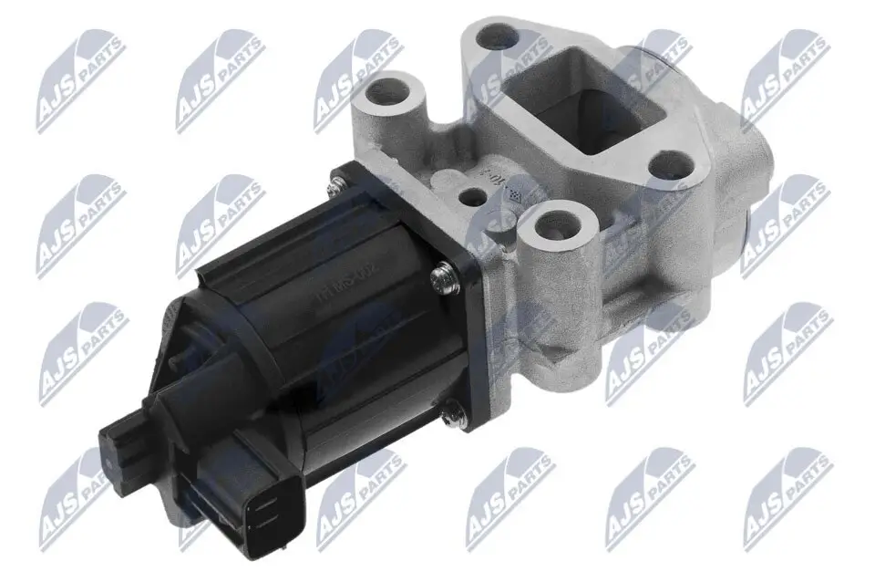 AGR-Ventil NTY EGR-MS-002