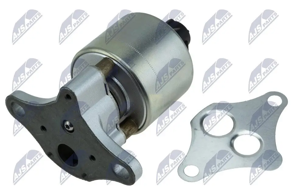 AGR-Ventil 12 V NTY EGR-PL-025