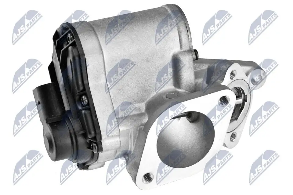 AGR-Ventil 12 V NTY EGR-RE-004