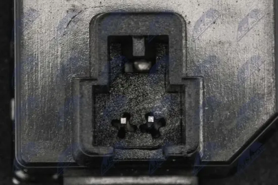 Kennzeichenleuchte beidseitig NTY ELP-FT-004 Bild Kennzeichenleuchte beidseitig NTY ELP-FT-004