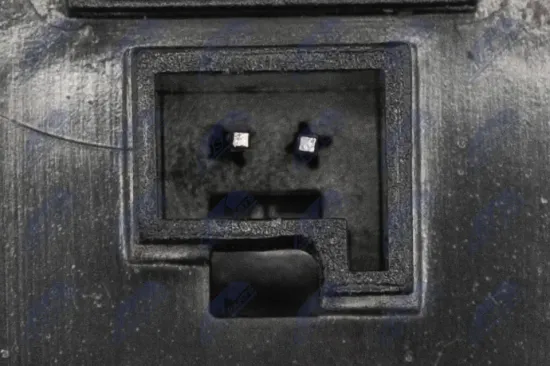 Kennzeichenleuchte beidseitig NTY ELP-FT-004 Bild Kennzeichenleuchte beidseitig NTY ELP-FT-004