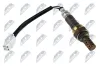 Lambdasonde NTY ESL-DA-003 Bild Lambdasonde NTY ESL-DA-003