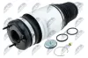 Luftfeder, Fahrwerk Vorderachse beidseitig NTY EZC-CH-068 Bild Luftfeder, Fahrwerk Vorderachse beidseitig NTY EZC-CH-068
