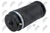 Luftfeder, Fahrwerk Hinterachse beidseitig NTY EZC-ME-196 Bild Luftfeder, Fahrwerk Hinterachse beidseitig NTY EZC-ME-196