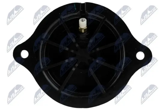 Luftfeder, Fahrwerk Hinterachse beidseitig NTY EZC-ME-210 Bild Luftfeder, Fahrwerk Hinterachse beidseitig NTY EZC-ME-210