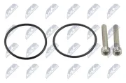 Hydraulikfilter, Lamellenkupplung (Allradantrieb) NTY FHO-VW-004