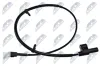 Sensor, Raddrehzahl Hinterachse links Hinterachse rechts NTY HCA-FR-049 Bild Sensor, Raddrehzahl Hinterachse links Hinterachse rechts NTY HCA-FR-049