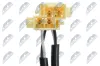 Sensor, Raddrehzahl Hinterachse links Hinterachse rechts NTY HCA-VV-008 Bild Sensor, Raddrehzahl Hinterachse links Hinterachse rechts NTY HCA-VV-008