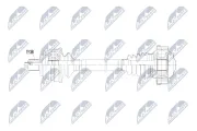 Antriebswelle Hinterachse links Hinterachse rechts NTY NPW-AU-085