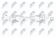 Antriebswelle Hinterachse Hinterachse links Hinterachse rechts NTY NPW-BM-069