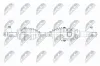 Antriebswelle Vorderachse rechts NTY NPW-CH-064 Bild Antriebswelle Vorderachse rechts NTY NPW-CH-064