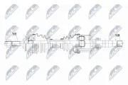 Antriebswelle Vorderachse rechts NTY NPW-PE-047