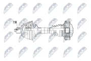 Antriebswelle Hinterachse links Hinterachse rechts NTY NPW-VW-239