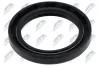 Wellendichtring, Kurbelwelle stirnseitig NTY NUP-PL-007
