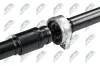 Gelenkwelle, Achsantrieb hinten NTY NWN-VV-010 Bild Gelenkwelle, Achsantrieb hinten NTY NWN-VV-010