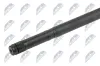 Antriebswelle Vorderachse Vorderachse rechts NTY NWP-HD-004 Bild Antriebswelle Vorderachse Vorderachse rechts NTY NWP-HD-004