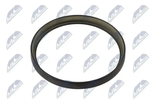 Sensorring, ABS Hinterachse beidseitig NTY NZA-CT-004 Bild Sensorring, ABS Hinterachse beidseitig NTY NZA-CT-004