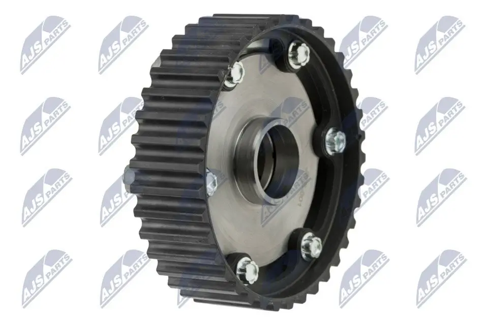 Stellelement, Exzenterwelle (variabler Ventilhub) NTY RKZ-RE-001