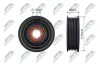 Spannrolle, Keilrippenriemen NTY RNK-MZ-017