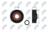 Spannrolle, Keilrippenriemen NTY RNK-VV-014