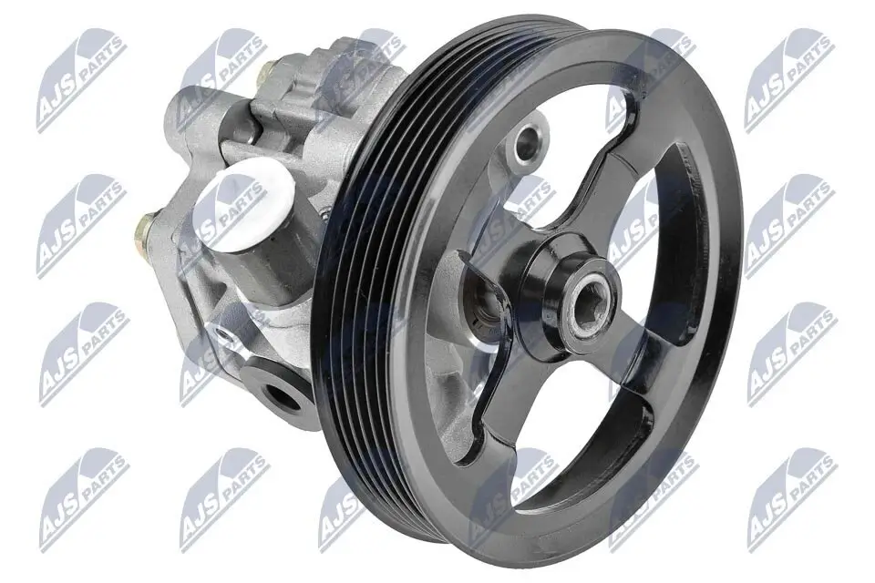 Hydraulikpumpe, Lenkung NTY SPW-CH-003