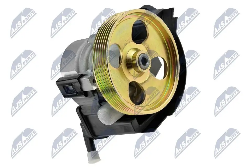 Hydraulikpumpe, Lenkung NTY SPW-CT-029
