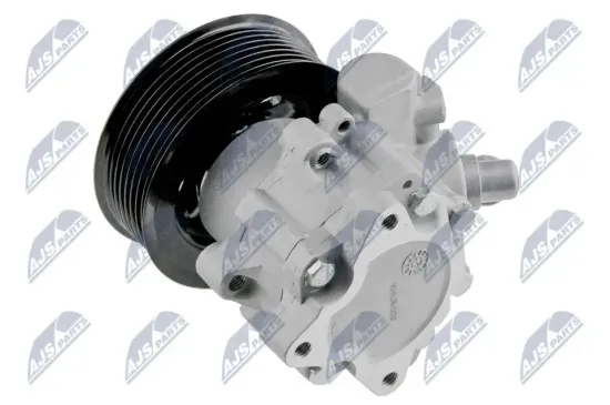 Hydraulikpumpe, Lenkung NTY SPW-LR-009 Bild Hydraulikpumpe, Lenkung NTY SPW-LR-009