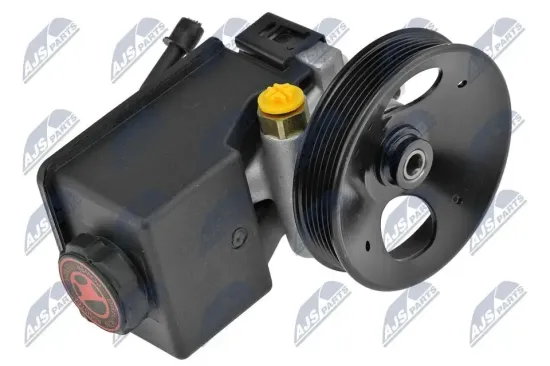 Hydraulikpumpe, Lenkung NTY SPW-PL-011 Bild Hydraulikpumpe, Lenkung NTY SPW-PL-011