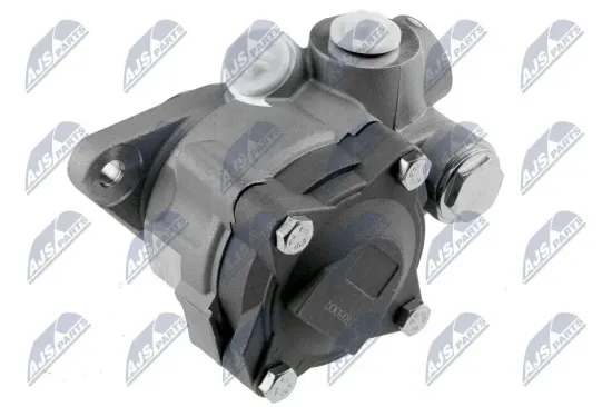 Hydraulikpumpe, Lenkung NTY SPW-RE-007 Bild Hydraulikpumpe, Lenkung NTY SPW-RE-007