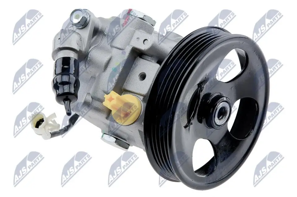 Hydraulikpumpe, Lenkung NTY SPW-SB-008