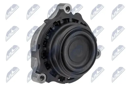 Lagerung, Motor rechts NTY ZPS-BM-030 Bild Lagerung, Motor rechts NTY ZPS-BM-030