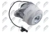 Lagerung, Motor links NTY ZPS-ME-013