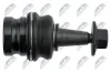 Trag-/Führungsgelenk Vorderachse NTY ZSD-AU-005 Bild Trag-/Führungsgelenk Vorderachse NTY ZSD-AU-005