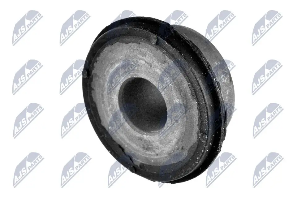 Lagerung, Lenker Hinterachse hinten NTY ZTT-TY-032B