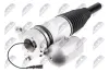 Luftfederbein Hinterachse links NTY A-AU-059
