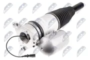 Luftfederbein Hinterachse links NTY A-AU-059
