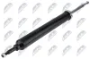 Stoßdämpfer Hinterachse NTY A-BM-039 Bild Stoßdämpfer Hinterachse NTY A-BM-039