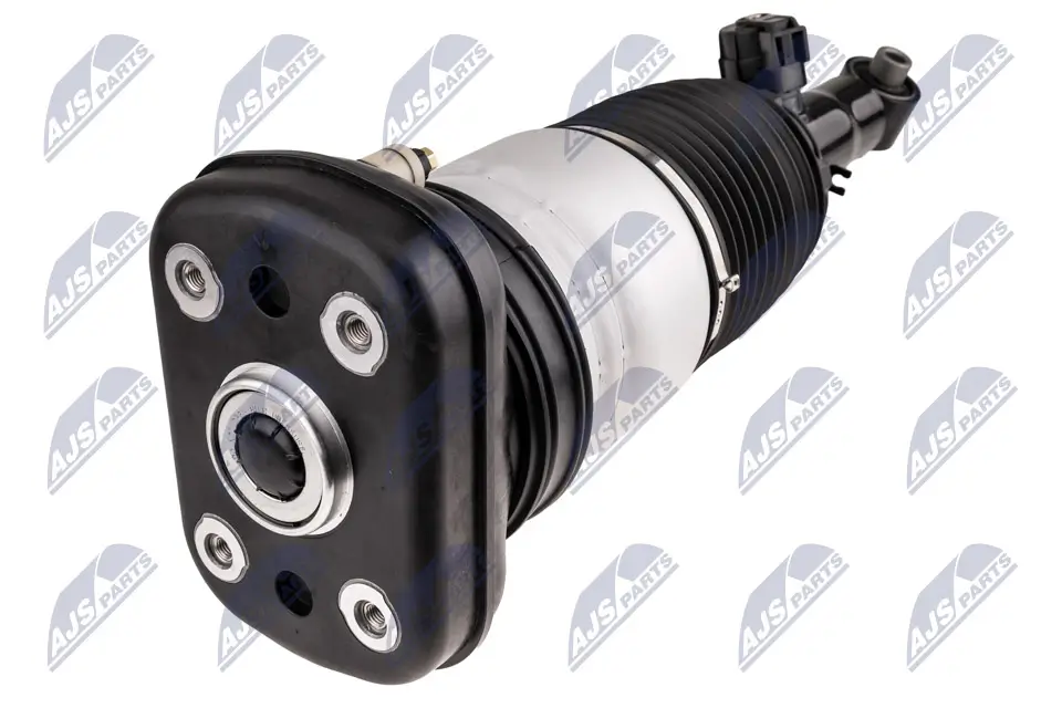 Stoßdämpfer Hinterachse links NTY A-BM-101