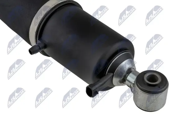 Luftfederbein Hinterachse links Hinterachse rechts NTY A-CH-013 Bild Luftfederbein Hinterachse links Hinterachse rechts NTY A-CH-013