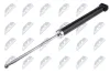 Stoßdämpfer Hinterachse links Hinterachse rechts NTY A-FT-005 Bild Stoßdämpfer Hinterachse links Hinterachse rechts NTY A-FT-005