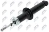 Sto&szlig;d&auml;mpfer Hinterachse NTY A-FT-038