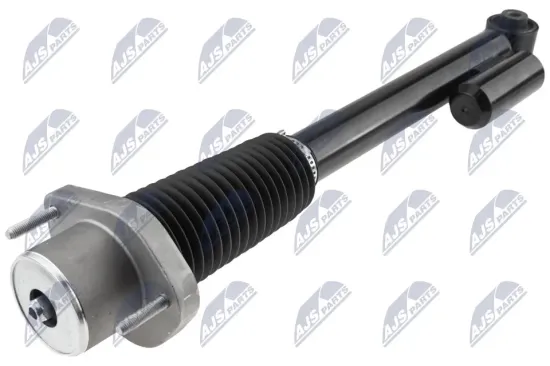 Stoßdämpfer Hinterachse NTY A-LR-018 Bild Stoßdämpfer Hinterachse NTY A-LR-018
