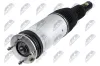 Luftfederbein Vorderachse links NTY A-LR-042