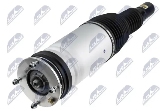 Luftfederbein Vorderachse links NTY A-LR-042 Bild Luftfederbein Vorderachse links NTY A-LR-042